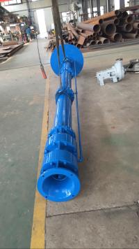 Album-Vertical Long Shaft Pump